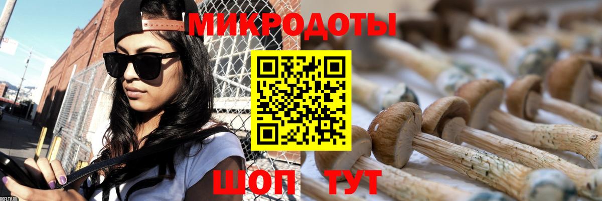 Псилоцибиновые грибы мицелий  Вход с VPN  продажа наркотиков  Канск 